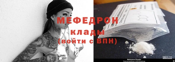 индика Заводоуковск