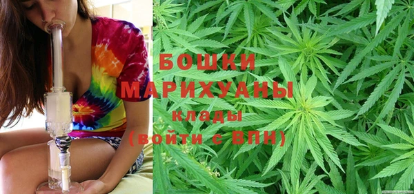 индика Заводоуковск