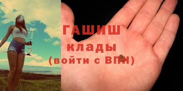 индика Заводоуковск