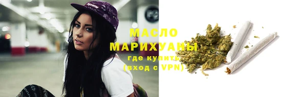 индика Заводоуковск