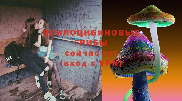 индика Заводоуковск