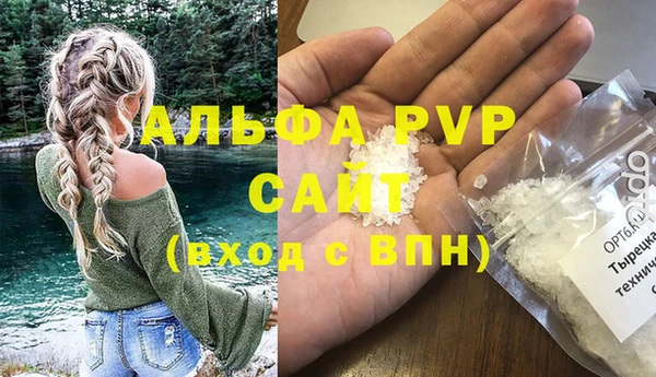 индика Заводоуковск
