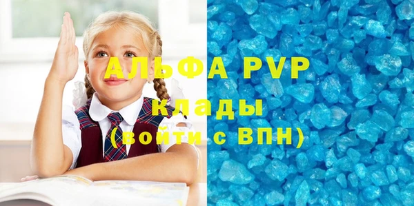 индика Заводоуковск
