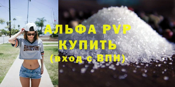 индика Заводоуковск