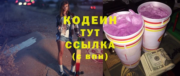 индика Заводоуковск