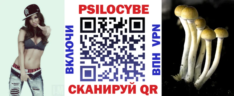 Купить закладки  Туймазы  Галлюциногенные грибы мухоморы 